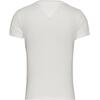 Γυναικείο T-Shirt Tommy Jeans Slim Essential Logo 2 Tee Ecru DW0DW20316-YBL