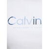 Ανδρικό Τ-shirt Calvin Klein Satin Bonded Logo Bright White K10K114162-YAF