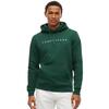 Ανδρικό Φούτερ Tommy Jeans Tjm Reg Linear Logo Hoodie Ext Velvet Green DM0DM20746-MBM