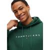 Ανδρικό Φούτερ Tommy Jeans Tjm Reg Linear Logo Hoodie Ext Velvet Green DM0DM20746-MBM