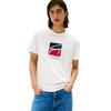 Ανδρικό T-Shirt Tommy Jeans Tjm Reg Rwb Dna Tee Ecru DM0DM21940-YBL