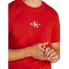 Ανδρικό T-shirt Calvin Klein Monologo Deep Magma J30J325649-XNI