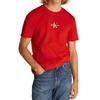 Ανδρικό T-shirt Calvin Klein Monologo Deep Magma J30J325649-XNI