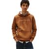 Ανδρικό Φούτερ Tommy Jeans Reg Linear Logo Hoodie Ext Pecan Nut Multi DM0DM20746-GVP