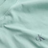 Ανδρικό T-Shirt Calvin Klein Jeans Painted Fresh Mint J30J327523-MR5