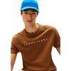 Ανδρικό T-Shirt Tommy Jeans Reg Linear Logo Tee Ext Pecan Nut Multi DM0DM20744-0HD