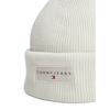Σκούφος Tommy Jeans Tjw Linear Beanie Misty Sage AW0AW17913-M1C