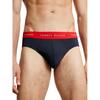 Ανδρικά Εσώρουχα Tommy Hilfiger 3p Brief Wb Cerulean Aqua_ Ant Silver_ Fireworks UM0UM02904-0UE