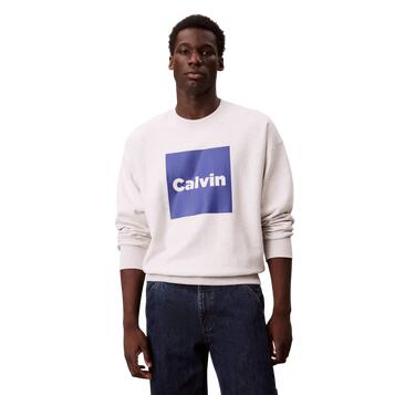 Aνδρικό Φούτερ Calvin Klein Ls Premium Fleece Calvin Box Gra Pale Grey Htr LV04RD216G-V7L Aνδρικό Φούτερ Calvin Klein Ls Premium Fleece Calvin Box Gra Pale Grey Htr LV04RD216G-V7L
