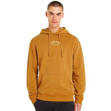 Ανδρικό Φούτερ Tommy Jeans Tjm Reg Arch Varsity Hoodie Alchemy DM0DM18410-GQ2