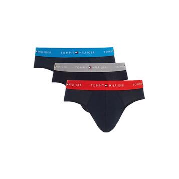 Ανδρικά Εσώρουχα Tommy Hilfiger 3p Brief Wb Cerulean Aqua_ Ant Silver_ Fireworks UM0UM02904-0UE