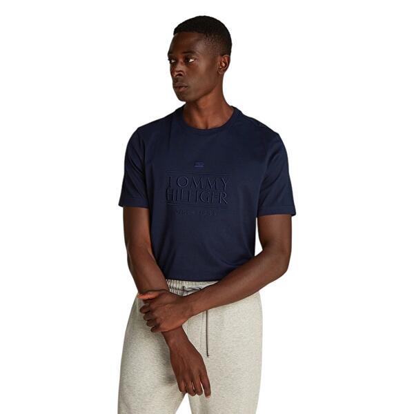 Ανδρικό Τ-shirt Tommy Hilfiger Embroidery Logo Desert Sky MW0MW38620-DW5