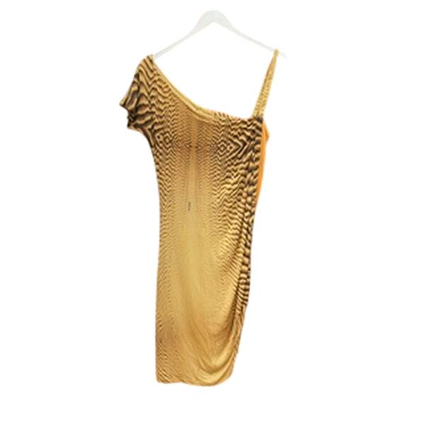 Γυναικείο Φόρεμα Cavalli Καφέ S02CT0020-001