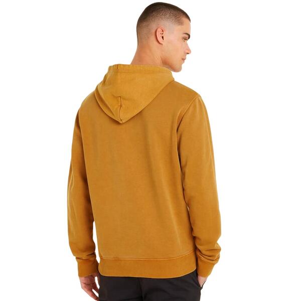 Ανδρικό Φούτερ Tommy Jeans Tjm Reg Arch Varsity Hoodie Alchemy DM0DM18410-GQ2