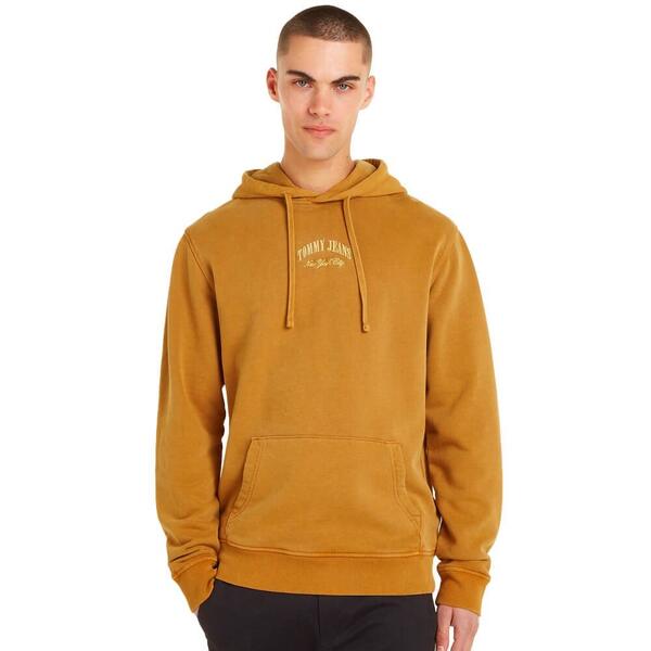 Ανδρικό Φούτερ Tommy Jeans Tjm Reg Arch Varsity Hoodie Alchemy DM0DM18410-GQ2