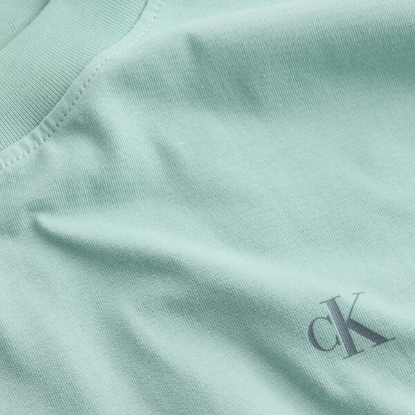 Ανδρικό T-Shirt Calvin Klein Jeans Painted Fresh Mint J30J327523-MR5