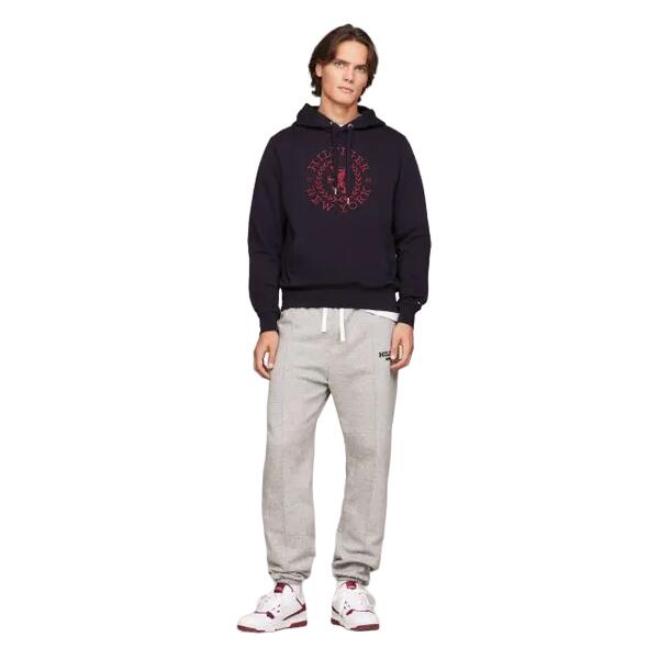 Ανδρικό Φούτερ Tommy Hilfiger Big Icon Crest Hoodie Desert Sky MW0MW33650-DW5