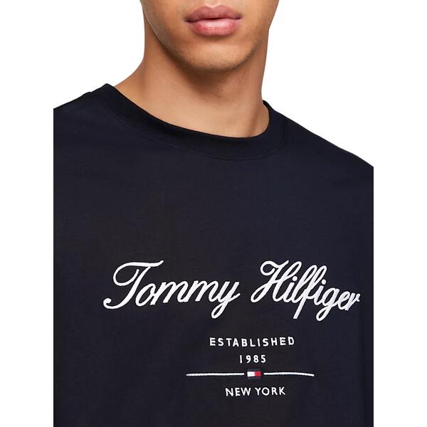 Aνδρικό T-shirt Tommy Hilfiger Script Logo Tee Desert Sky MW0MW33691-DW5