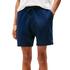 Ανδρικό Σορτς Tommy Jeans S Flag Beach Short Ext Dark Night Navy DM0DM21931-C1G